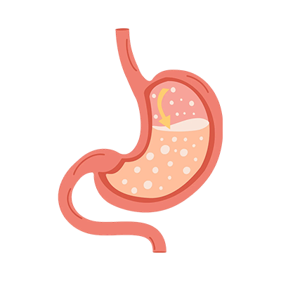 Digestive Health and Gut Management